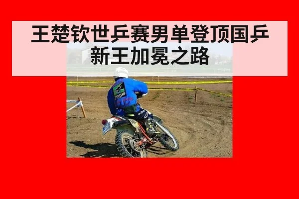 王楚钦世乒赛男单登顶国乒新王加冕之路